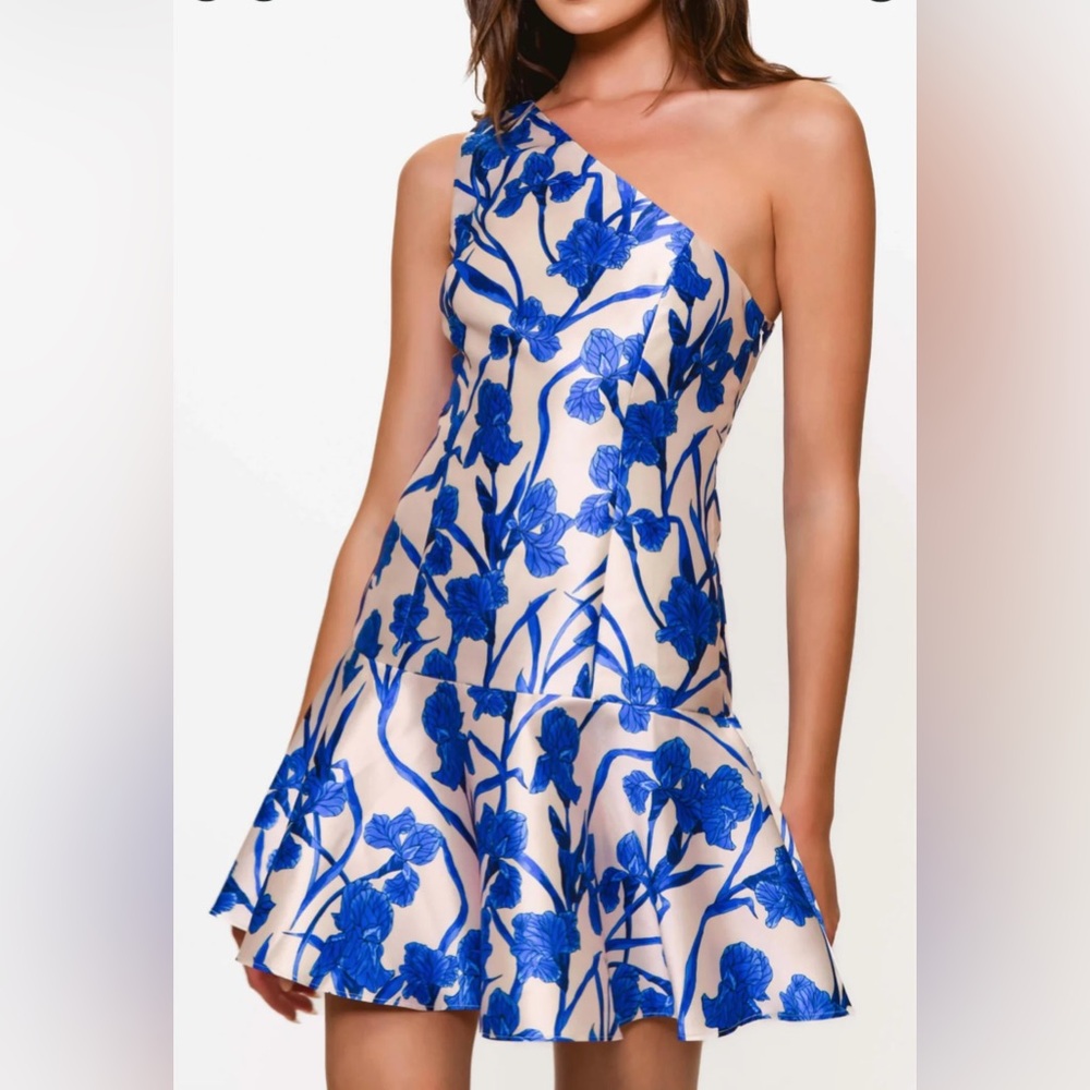 Hutch Blue Floral One-Shoulder Dress